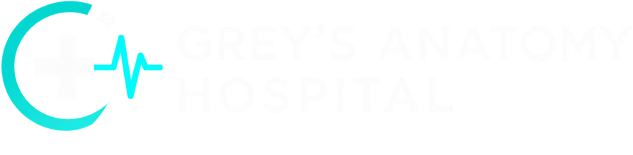 Grey's Anatomy Hospital